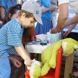 Miniatura: Zabawa w pediatrę - chłopiec nakłada plaster opatrunkowy na skaleczenie żaby-maskotki